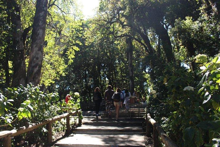 Inthanon Day Trip from Chiang Mai with Lunch - Group or Private