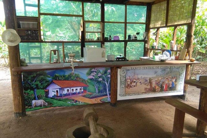Chocolate, Coffee & Sugar Cane Experience - La Fortuna