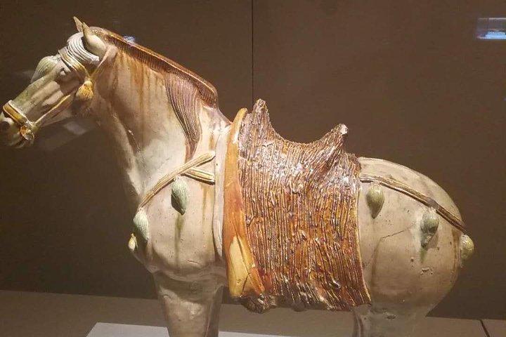 Private Day Trip to Terracotta Warriors e Jingdis Tomb