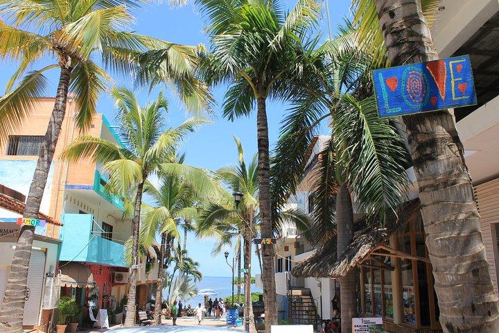 Intera giornata Sayulita e San Pancho da Puerto Vallarta