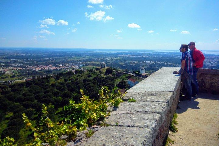 Lissabon och södra vinregionerna privat lyxtur