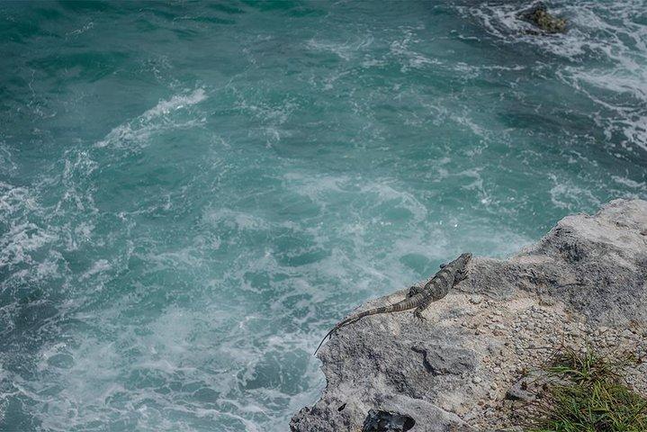 Isla Mujeres privéexcursie