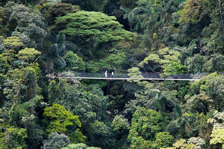 Arenal Hanging Bridges Nature Tour
