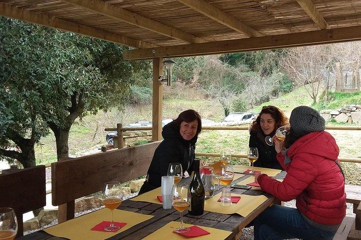 Ontdek Montalcino via de beste producties: Brunello & Saffron !!