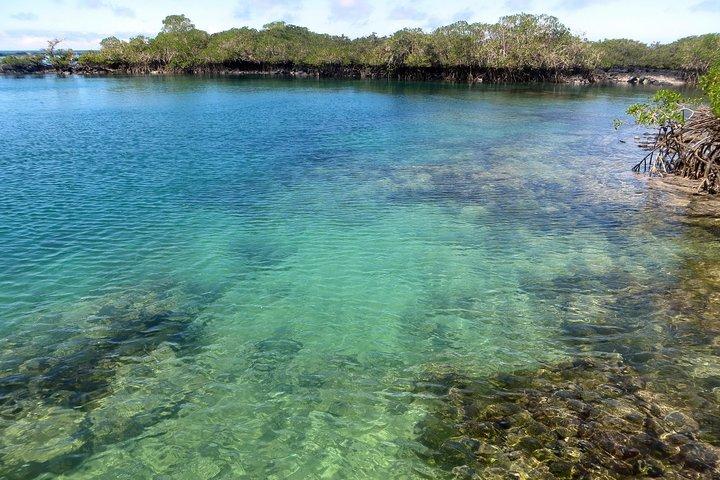 Visite de 4 jours des Galapagos à Isabela et Santa Cruz