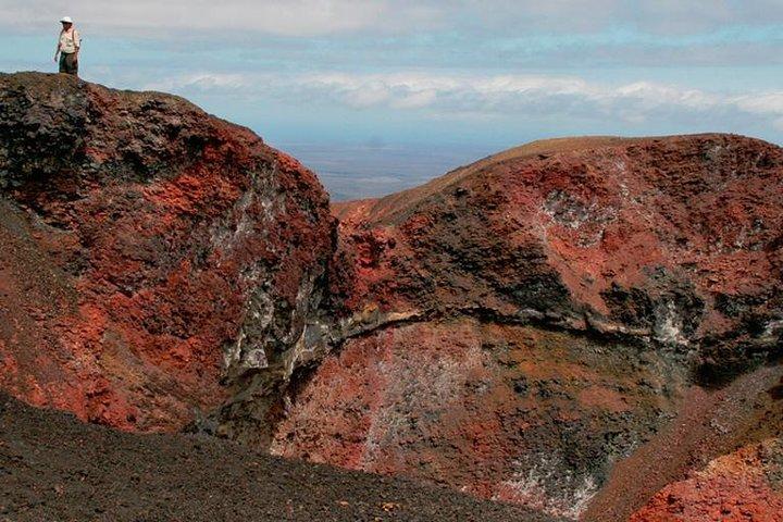 Visite de 4 jours des Galapagos à Isabela et Santa Cruz