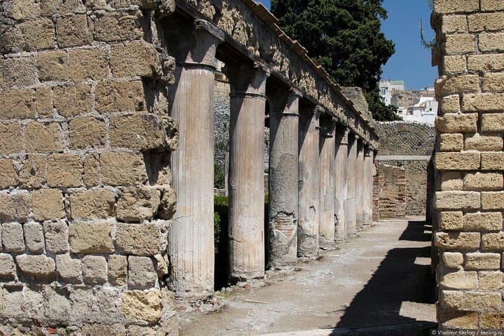 Naples: Pompeii, Herculaneum, and Vesuvius Tour by Minivan