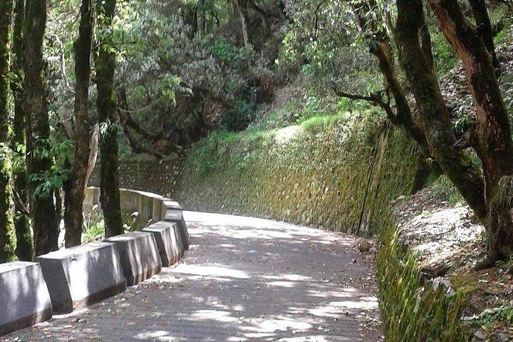 Promenade nature de Mussoorie (visite guidée à pied de 2 heures)