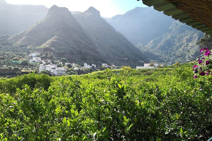 Excursion d'une journée au nord de Gran Canaria avec dégustation de vin