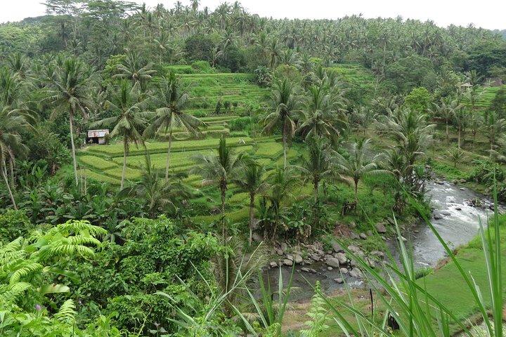 Tour privado en bicicleta por la cascada Gianyar
