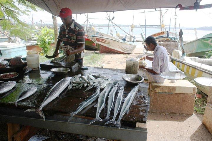 Markedstur og Sri Lankas madlavningskursus inde i Galle Fort