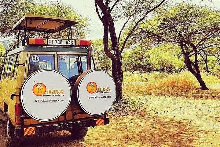 5 dagar Safari till Tarangire, Ngorongoro, Serengeti och Lake Manyara