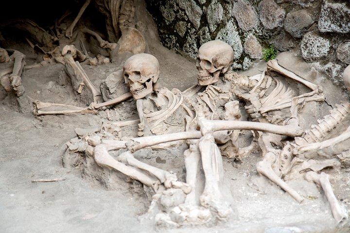 All inclusive Herculaneum Skip the Line Tour From Sorrento
