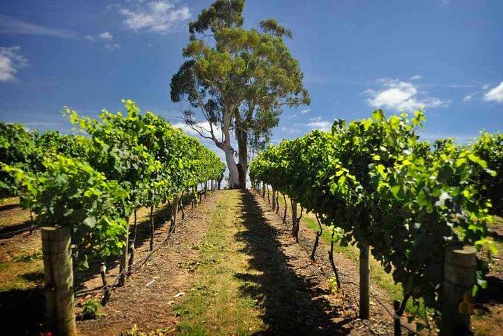 Small Group Adelaide Hills en Hahndorf Hideaway Tour vanuit Adelaide
