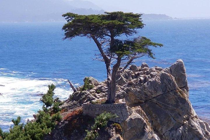 Visite privée à Monterey, Carmel, 17-Mile Drive, Pebble Beach