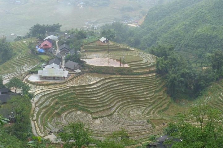 Sapa - Lao Chai -Ta Van ganztägiges Trekking