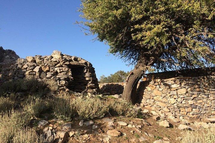 Chania Shore Excursión a las Montañas Blancas