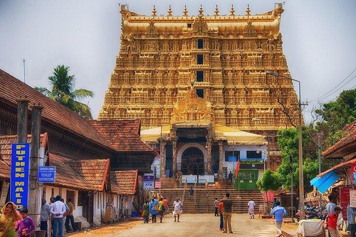 8 días Kerala Private Tour que cubre Kochi- Munnar- Periyar- Alleppey y Kovalam