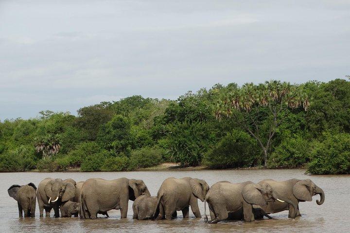 4-daagse safari naar Nyerere NP (Selous GR) - Kamperen in het hart van het park