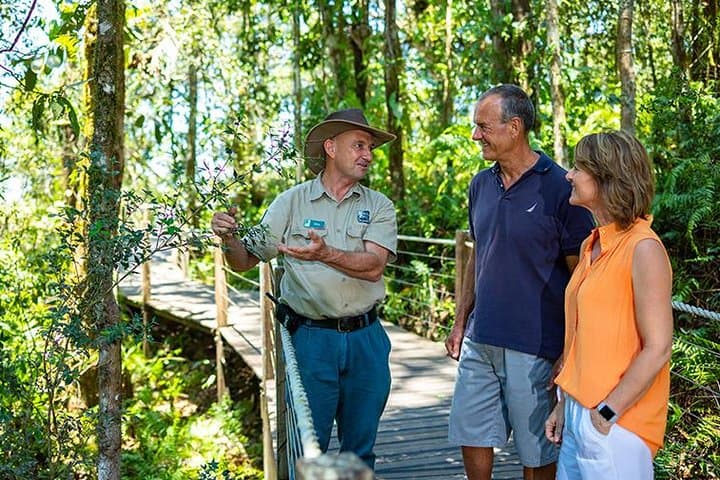 Skip the Line Kuranda Scenic Railway Gold Class and Skyrail Rainforest Cableway