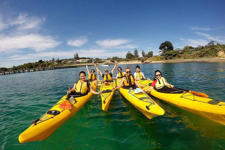 Mornington Peninsula Kayak Coastline Tour du Sanctuaire des dauphins