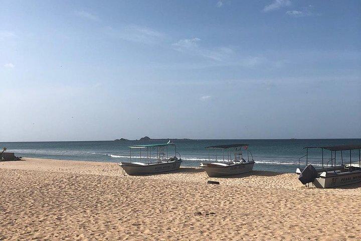 Negombo Day Tour