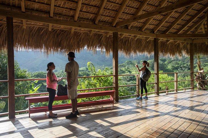 Dual Zipline side-by-side eventyr i Punta Cana