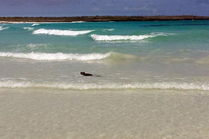 6 días de viajeros activos por la isla