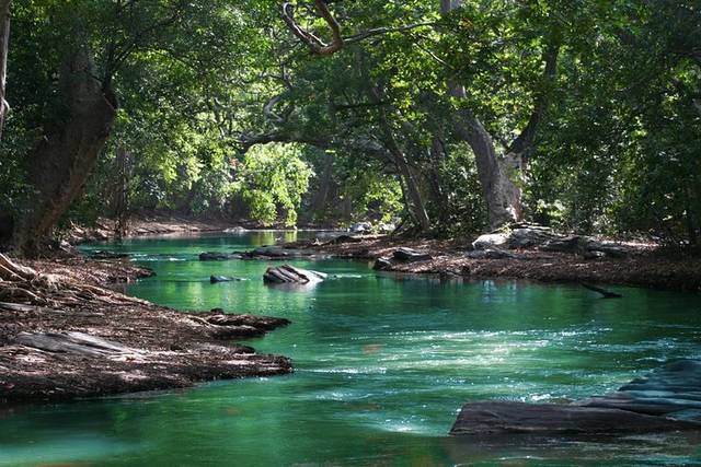 Black River Gorges