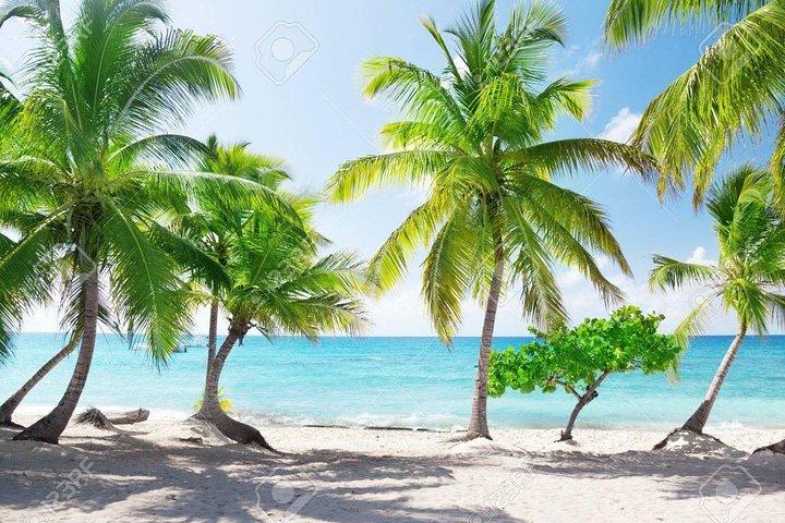 Tour a la Isla Catalina desde Punta Cana Snorkeling Todo Incluido