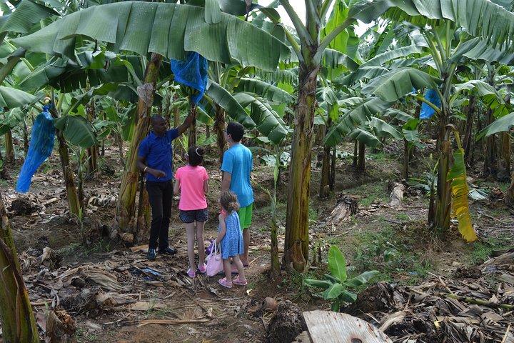 St Lucia Soufriere Attrazione naturale