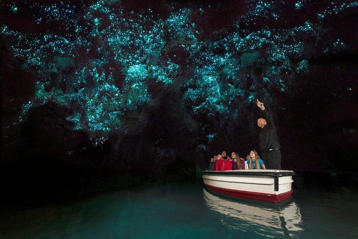 Privétour van Auckland naar Waitomo Glowworm Caves.