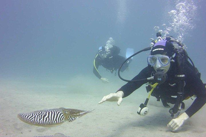 PADI Åben Vand Diver Kursus