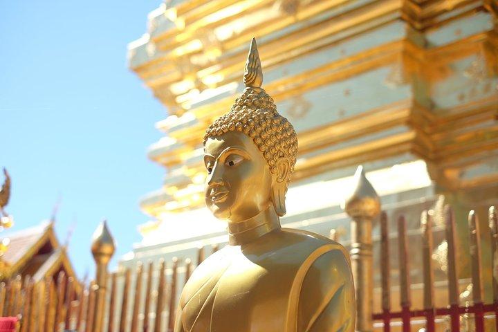 Halv dag - Lille gruppe - Doi Suthep Temple og Hmong Village Tour