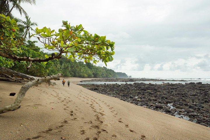 Corcovado-Nationalpark von Manuel Antonio an einem Tag