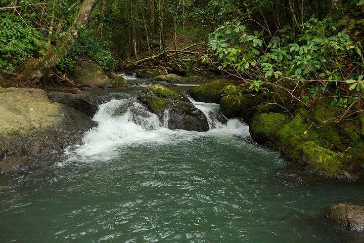 Corcovado-Nationalpark von Manuel Antonio an einem Tag