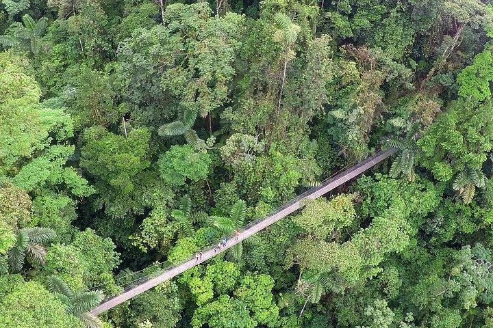 アレナル火山、吊り橋、ナマケモノ遭遇ツアー。