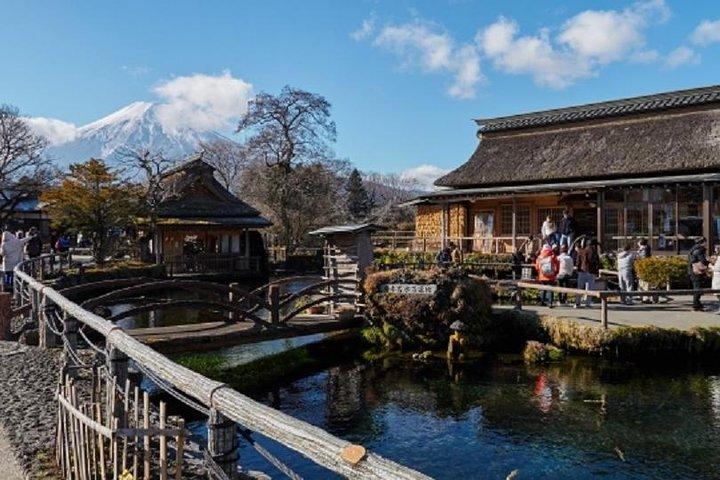 Tour privato di un giorno del Monte Fuji con mezzi pubblici