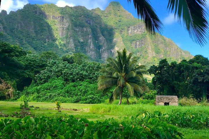Tour privado exclusivamente personalizado por una isla en Oahu, Hawái