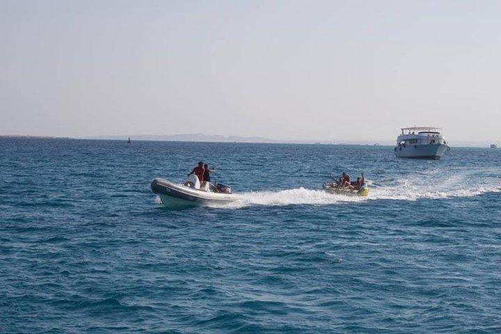 Delfintur i Hurghada