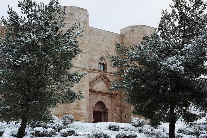 Tour com transfer de Bari para Castel del Monte