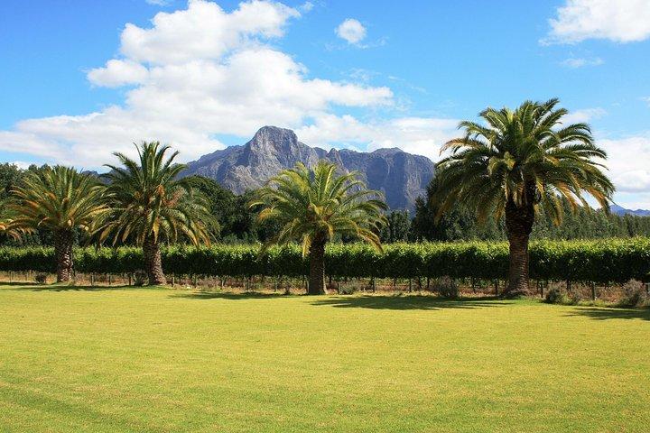 Stellenbosch & Franschhoek Cape Winelands Weinprobe (Tagestour)