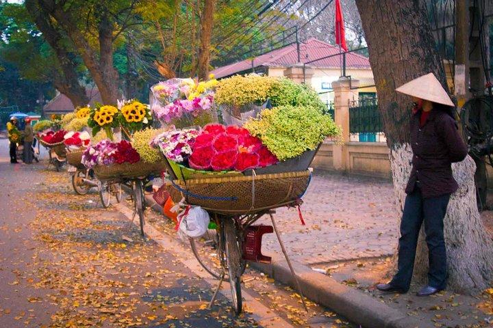 Hanoi - Hoa Lu Ancient & Tam Coc - Halong Bay pakke tur 6days 5nights
