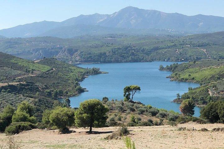 Privat 4x4 vin tur fra Athen til Marathon Lake og en vingård