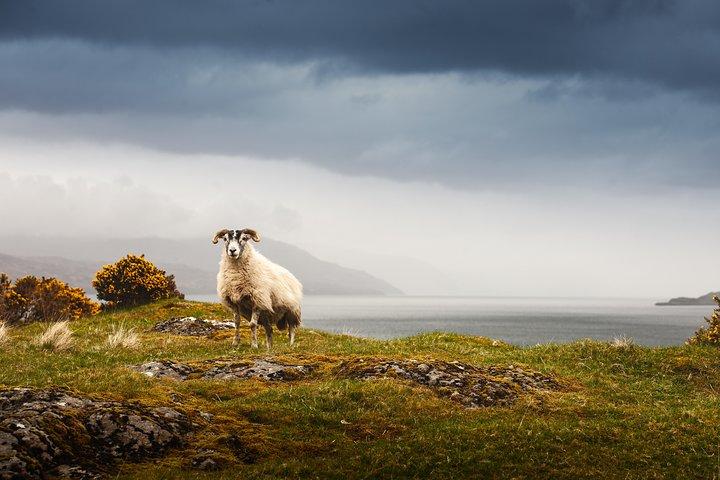 5 - Tour di Iona, Mull e l'Isola di Skye per piccoli gruppi da Edimburgo