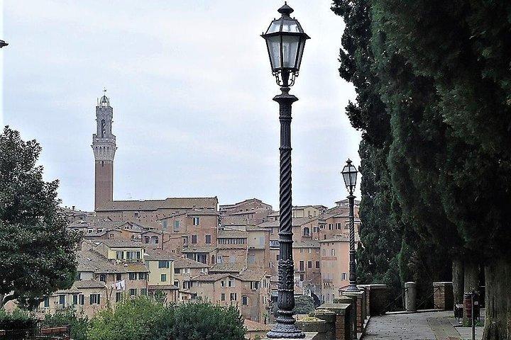 Siena e San Gimignano: Tour Privado saindo de Florença