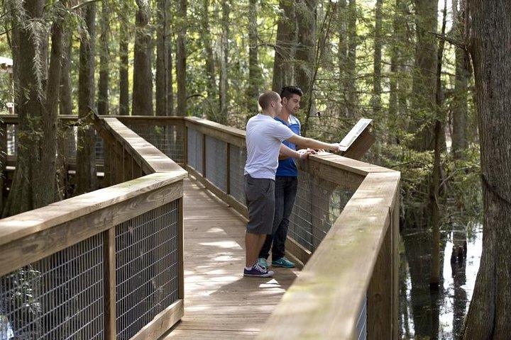 Wild Florida Adventure Package Tour com Hotel Pickup & Almoço
