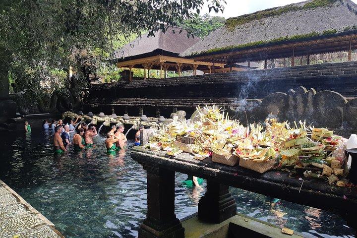 Bali Full Day Holy Water Tour