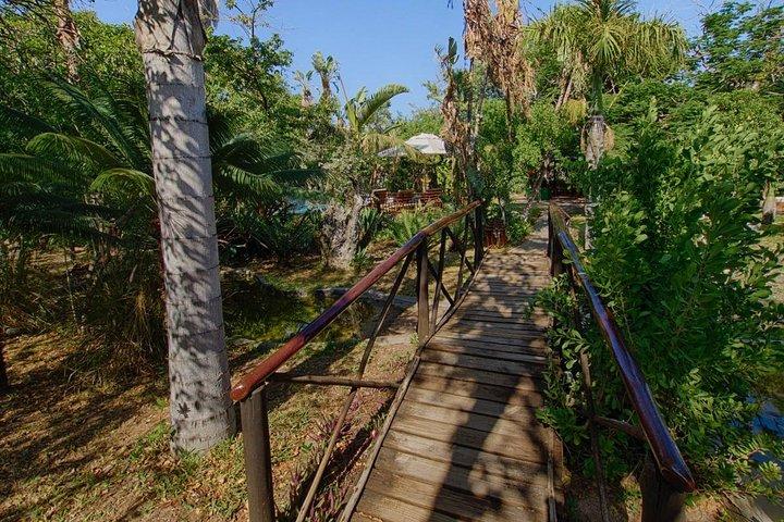 ヨハネスブルグからの6日間のクラシッククルーガー国立公園サファリ