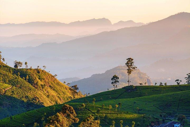Misty Mountain Trails from Bentota (2 giorni)